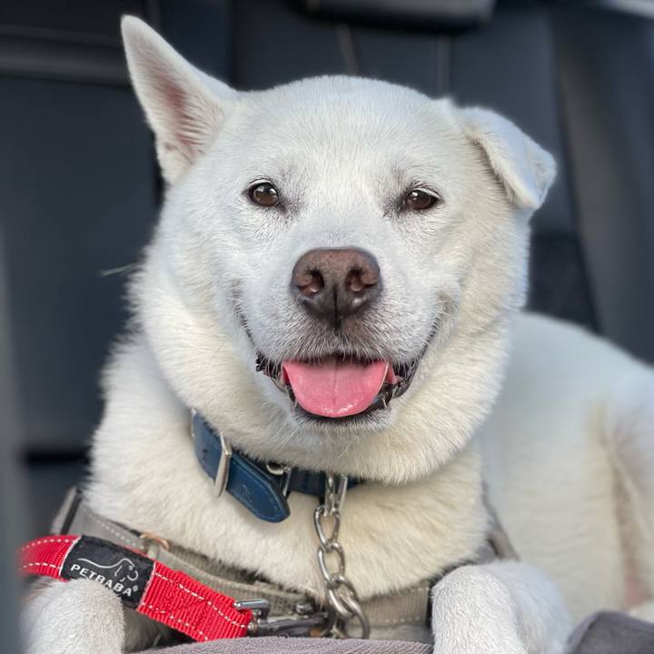 F6e6ad77 4265 445a 86d6 35ff74e37728 1725165524958