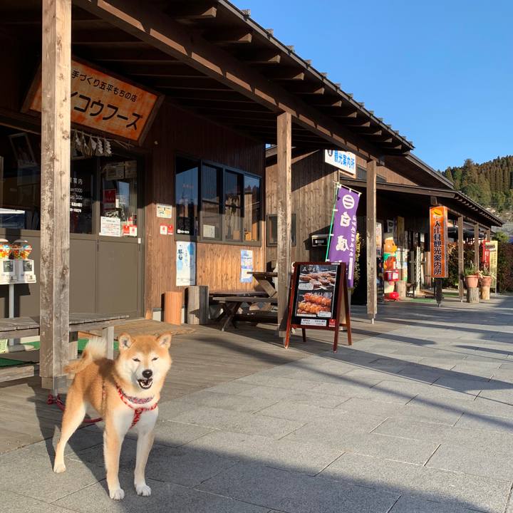 F6e6d8dc afb6 4e48 8b57 6e34b7352ce8 1578744291886