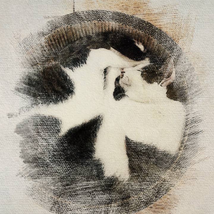 F6e7198b 751f 4231 9a0c a14187c64d7e 1510311279031