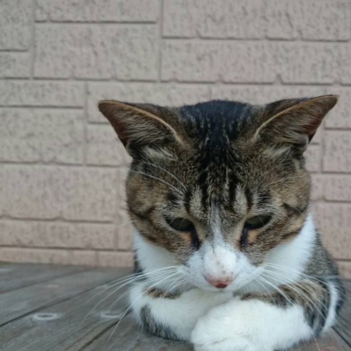 F6e7225f b12a 4904 a798 f906ff249bed 1513434401814