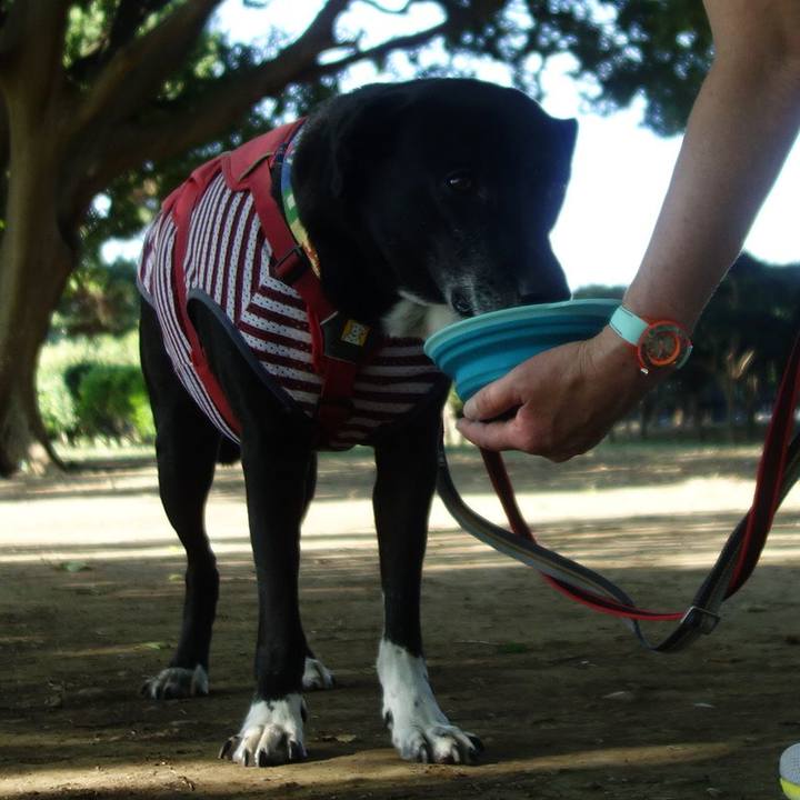 F6e73281 d530 473e 801f 8986030848fd 1690763576235