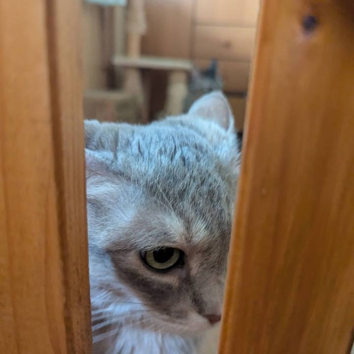 F6e73b42 fb81 4fc1 88db 0d27064e865f 1756014192748