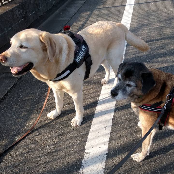 F6e773e2 3a23 49ec a85b 64c6a5c61c3a 1543888603162