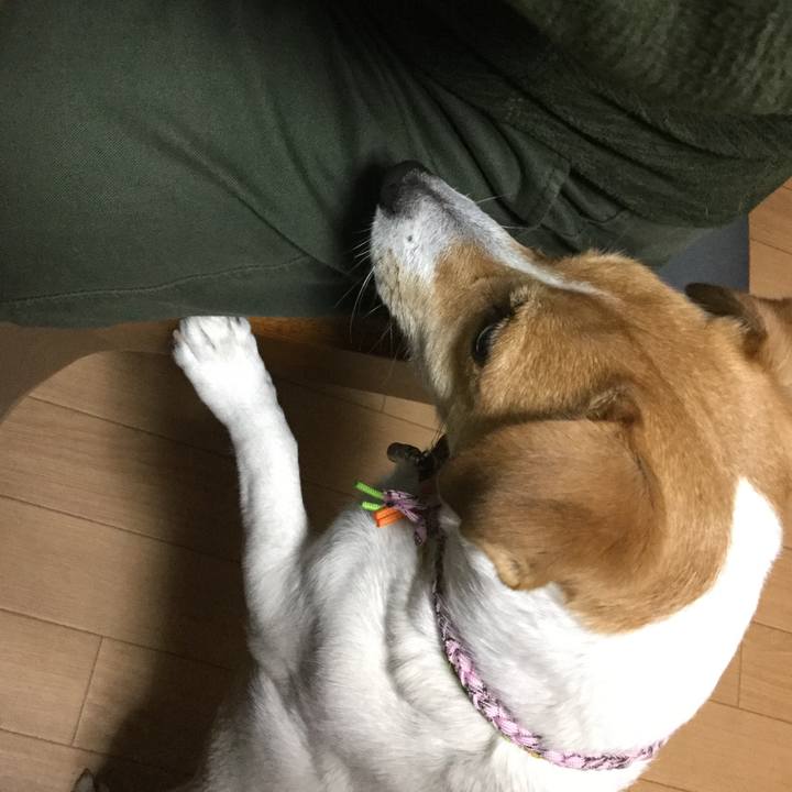 F6e7a0ad e0a4 45b9 9162 5aa0a1817600 1548321410506