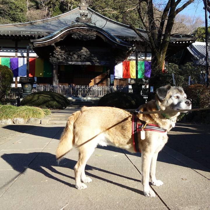 F6e7d91e d06e 46ec ad05 ce26e694686c 1514859021221