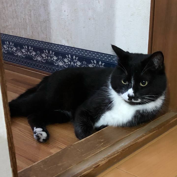 F6e7ef0e a91f 4fd3 a3ab a80371ae9223 1559533021132