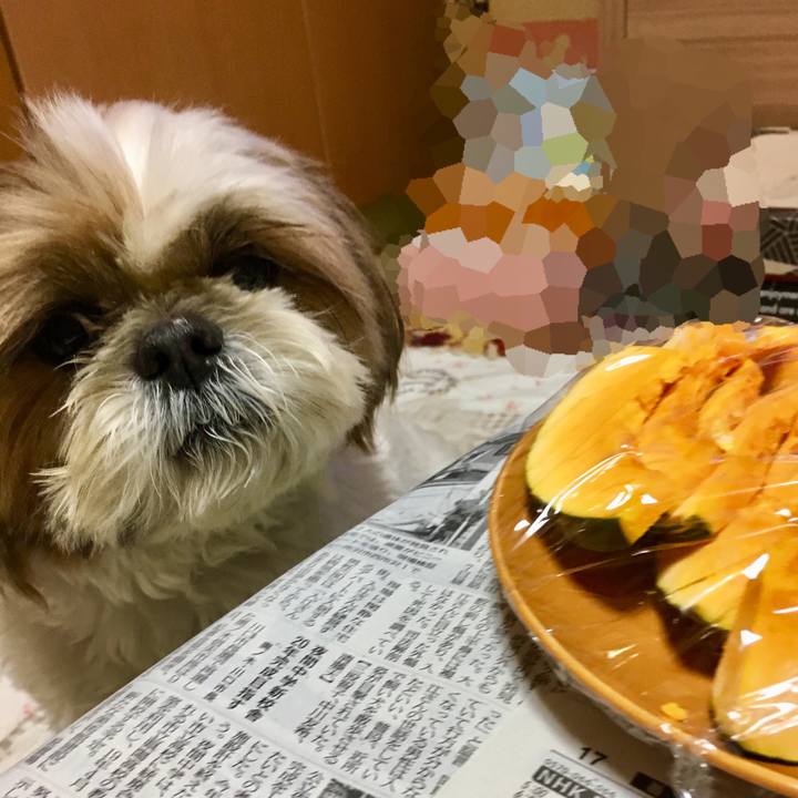 F6e7f064 b85c 4819 9fcd 17e8284c9704 1518344080043