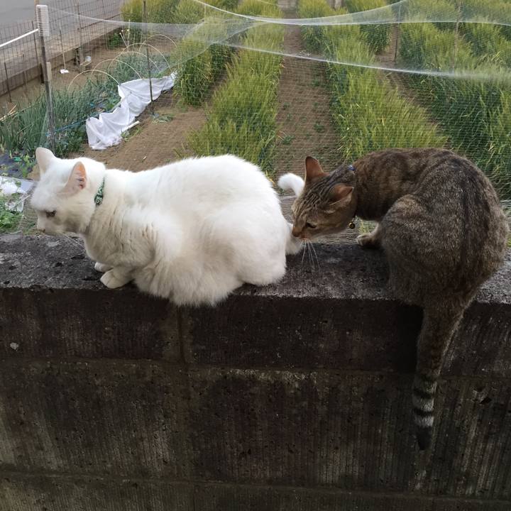 F6e7f59a 02a1 49af 9b49 b33ea3cd8cef 1556963023080