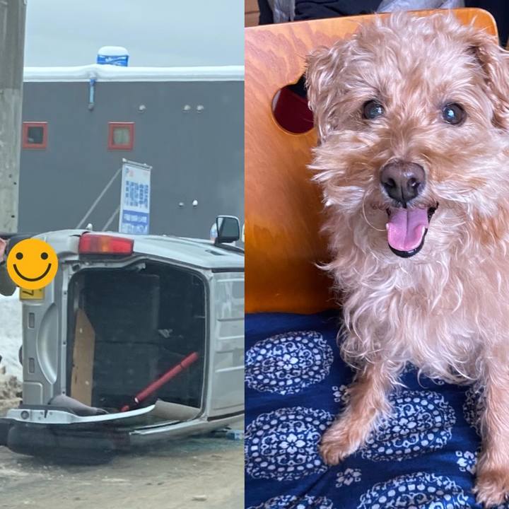 F6e833d4 72b8 47d5 b82b 006d8a450752 1705835592517