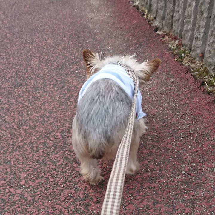 F6e88fea 6a8a 45aa ba15 5c0f715d2658 1515386006747