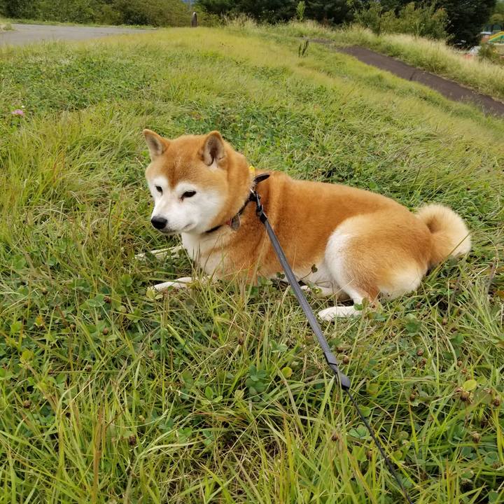 F6e8d2f3 2d55 46e2 967f 8ebdd4313281 1600155125034