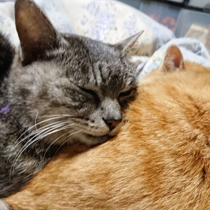 F6e8da86 8e72 4d12 9ef5 19a939a45793 1582457290032