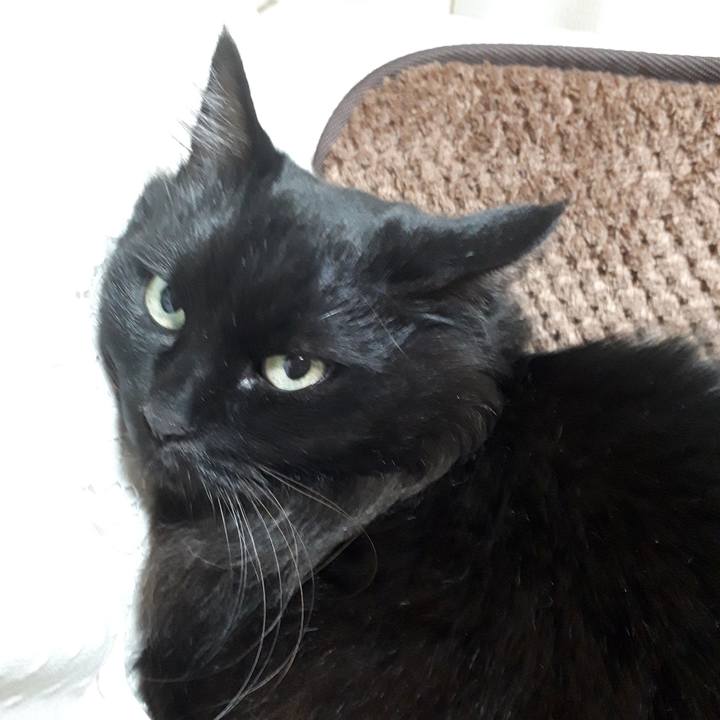 F6e9403d d18e 4f30 b9d1 eea619c97ccb 1519156271333