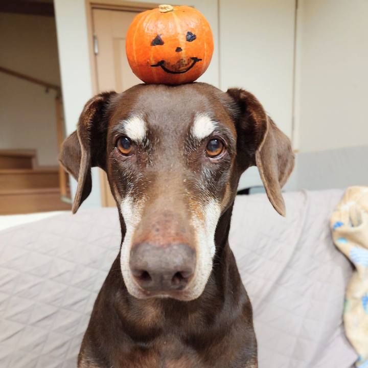 F6e94578 65f2 49c2 b5b3 1cdf39ebe4fd 1764126934543