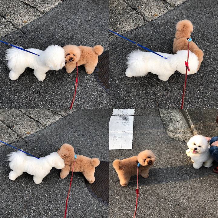 F6e95392 eab1 4b2f a938 c6197145dad6 1566898613885