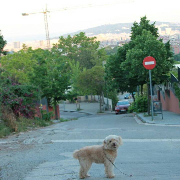 F6e96d48 84d9 4637 af3b 309400419404 1590150672800