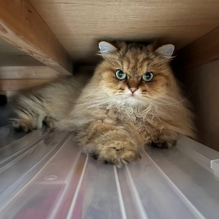 F6e96e98 6594 4660 b698 dbd43b6a4c53 1753935451862