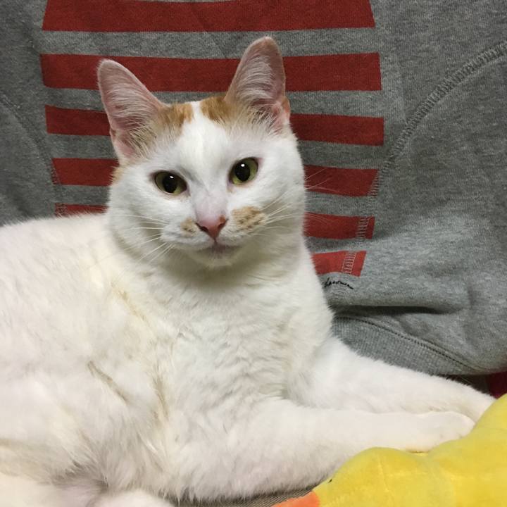 F6e9ccab 2cf1 4d66 93f3 760d2fcc842b 1553172683463