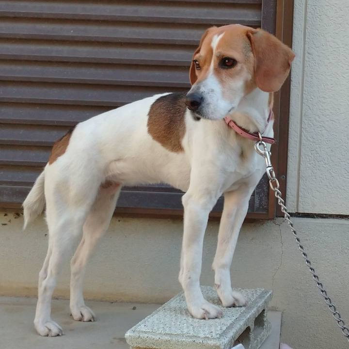 F6e9d9c1 0344 41c3 86bd 93f0cb64dbb3 1584062391827