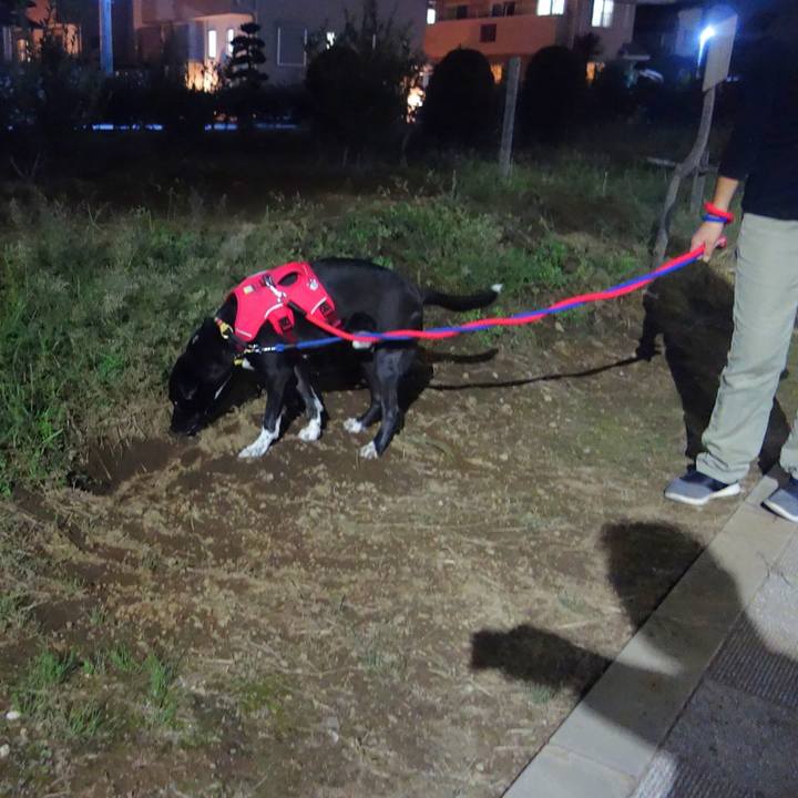 F6e9f5ff d80d 4fa5 acde 53cd12a7521b 1601895991288