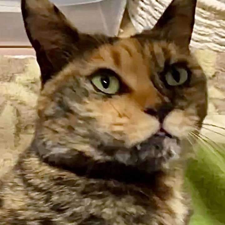 F6e9fc3e 8211 451a ae9b e0a606b05878 1739732658359