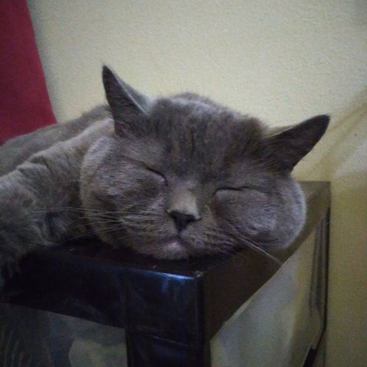 F6ea1ca9 db2f 4547 82ed 76209f7559a4 1592365926843