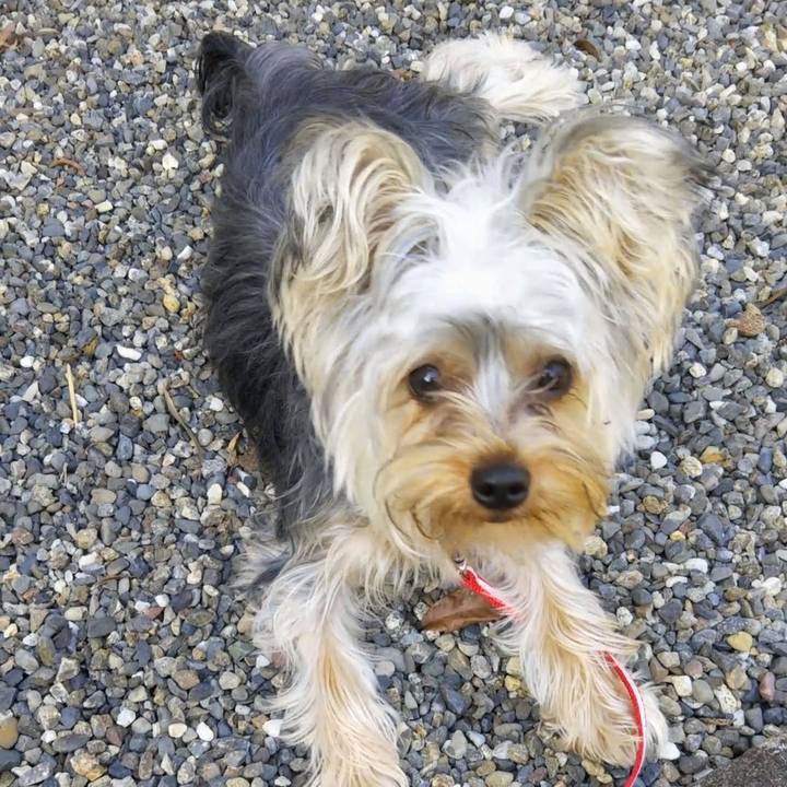 F6ea3541 3b56 422c b76e 426a39ac40b5 1543113975770