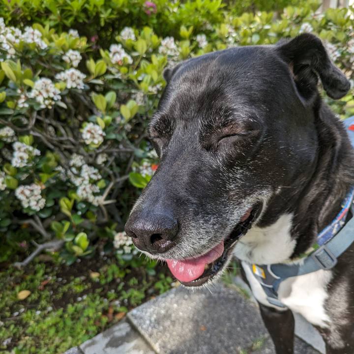 F6ea5f49 72e0 4489 84a1 8373a055e52d 1714612795322