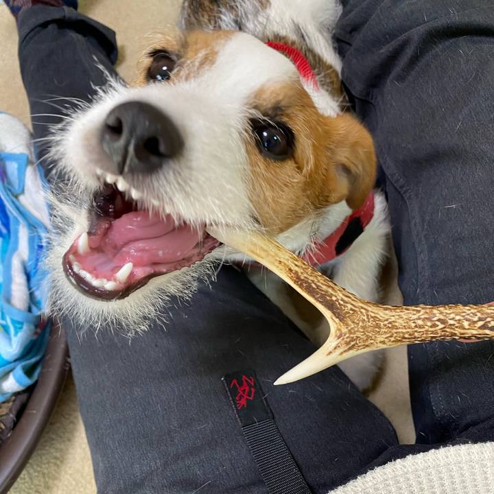 F6eab98d 2298 48e8 91de eb365956ad97 1619927996680