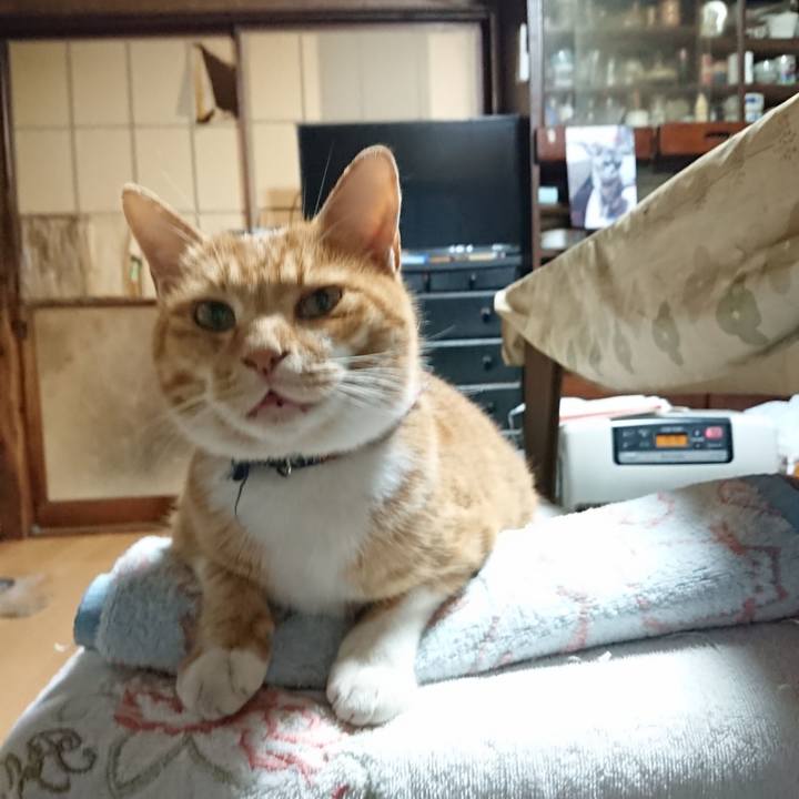 F6eb0ec7 750f 40de b198 3d827f064acb 1604179105668