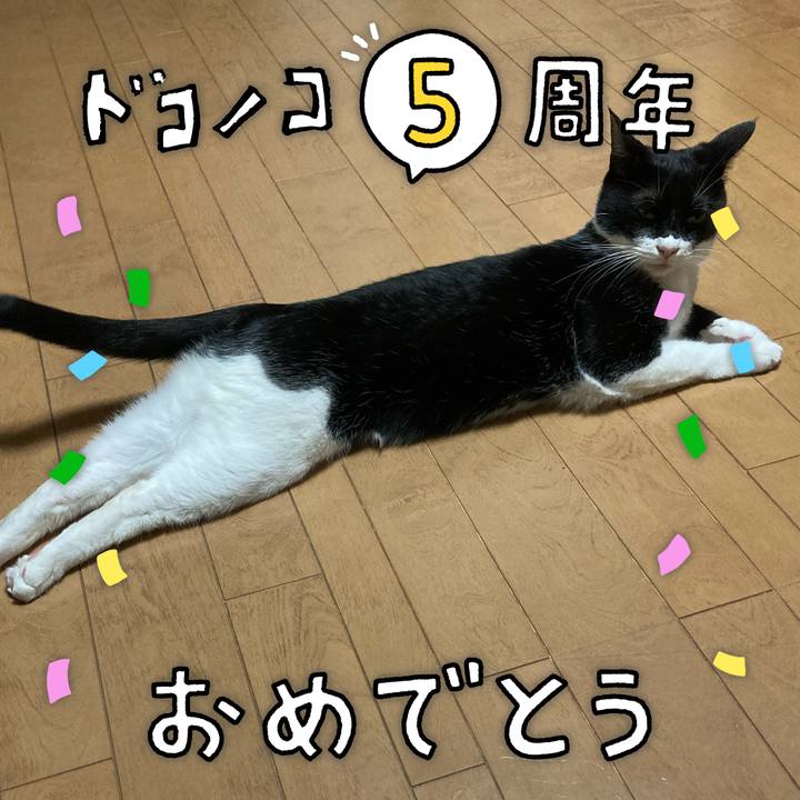 F6eb51ef 5b41 49f5 9c08 1ee6e1dd54f0 1622856984254