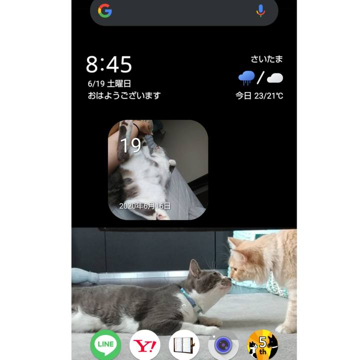 F6eb54a4 0e51 4987 bb8b bd3b1d6ceca0 1624060636197