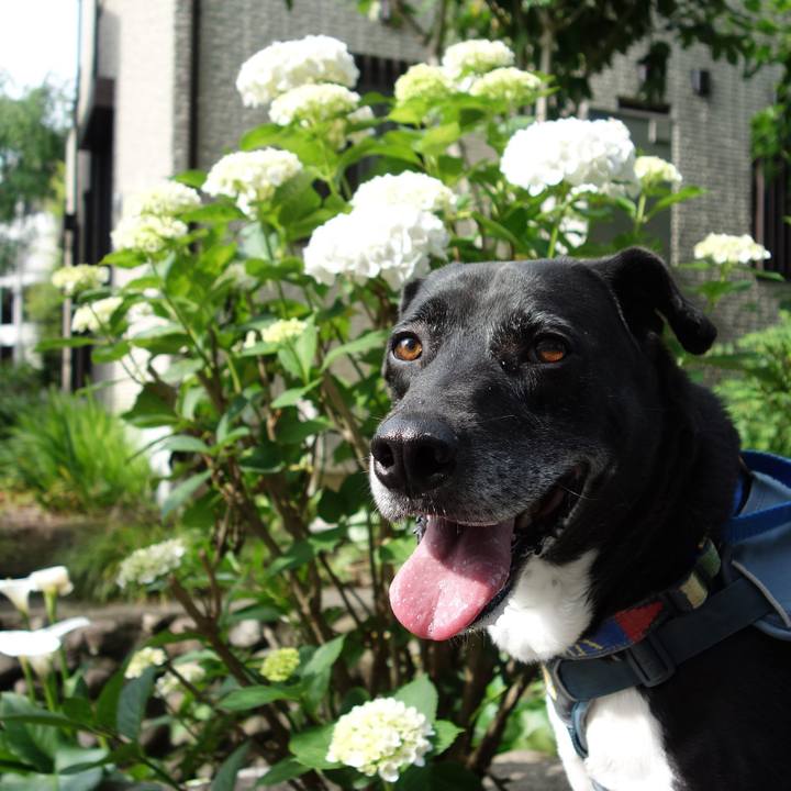 F6ebb886 b451 4386 837b 699eb2793cfe 1716255952551