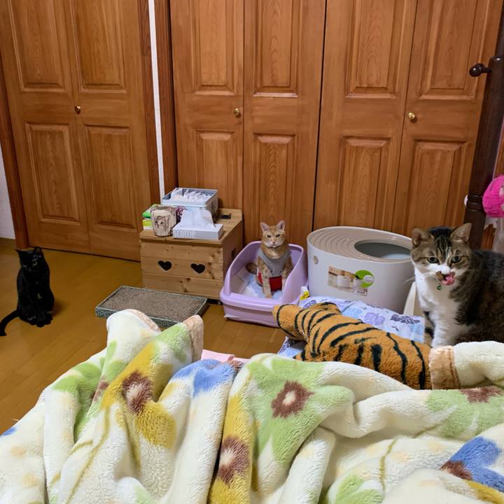 F6ebf4ac bdba 4be2 91a9 8b05159aae42 1611178605487