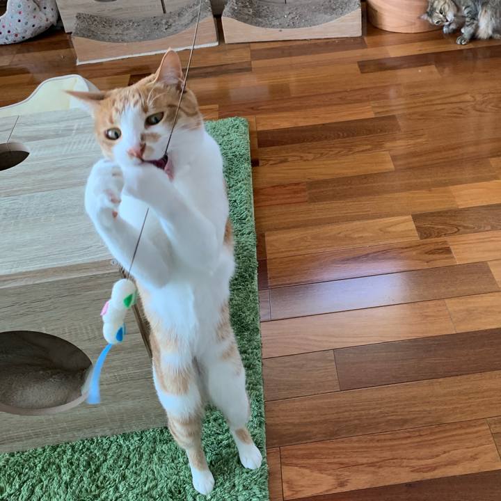 F6ec2b7b 736b 478b ad6b f563450c091b 1584343984810