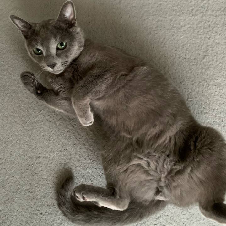 F6ec345c 2586 4a32 89de 90667330d0a6 1664233967292