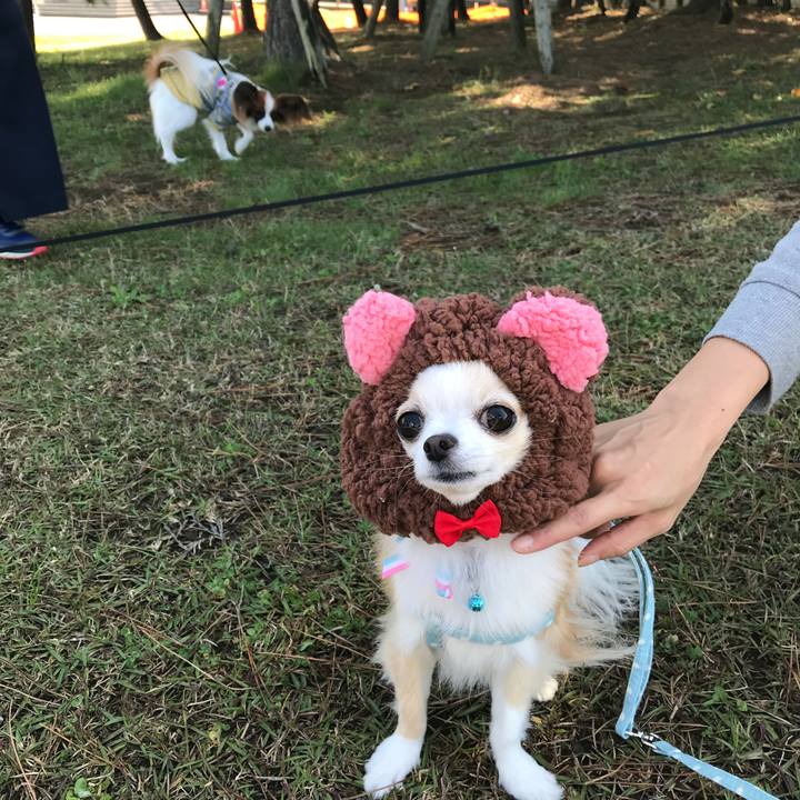 F6ec600f b950 44b8 b482 07bb50180a29 1509691945703