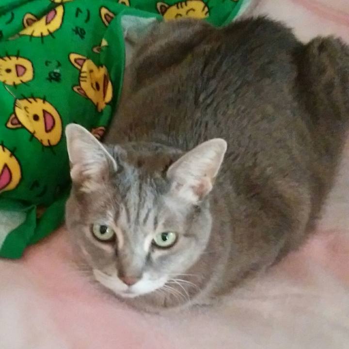 F6ec7ec5 a3ba 4aa3 a751 4691bcb45d5d 1581029916904