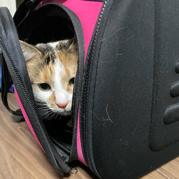 F6ec8b39 96f2 4b91 8e7a fd2c24557d47 1646565534966