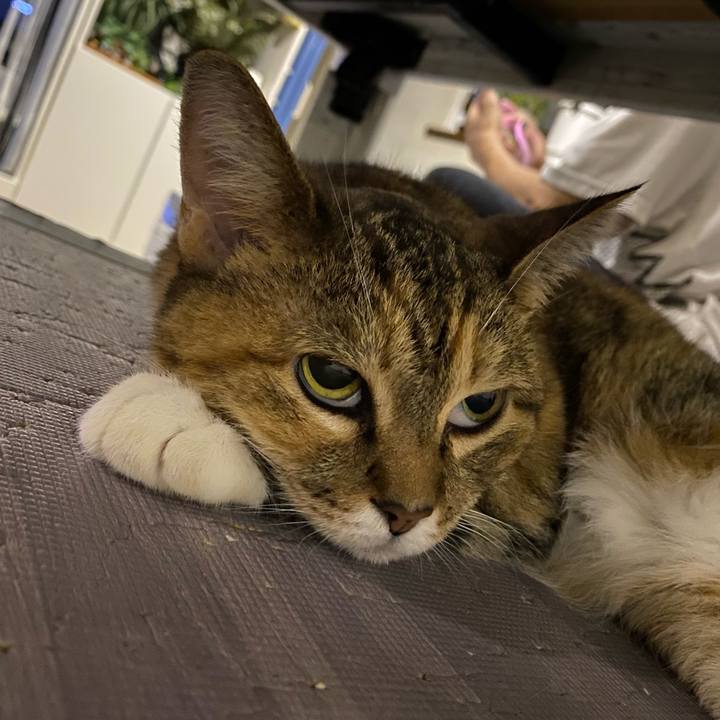 F6ec9d8c fd1b 4759 b16a d88cdf36781f 1663519351734