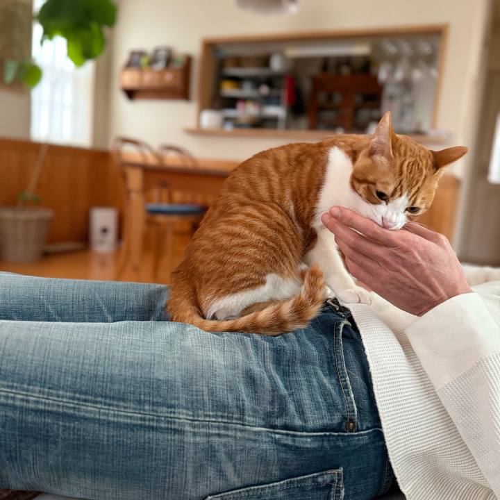 F6eca527 8d03 44b7 831b 4cfa964a4da1 1770814591736