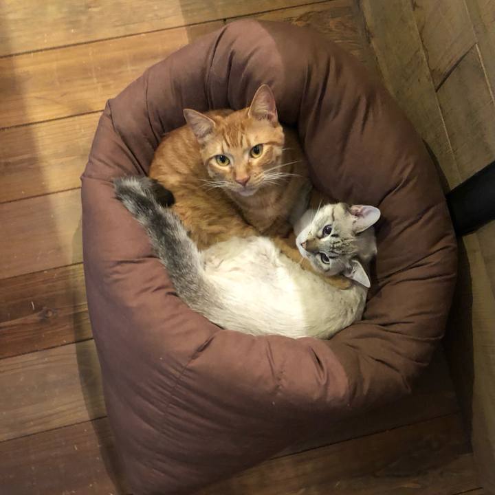 F6eccb35 4937 4d8c b158 40a614d7ee05 1735284931362