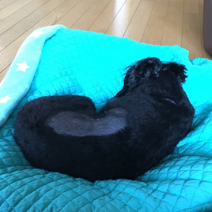 F6ece5df e5a3 40b4 91d6 9053167e7642 1508104624397