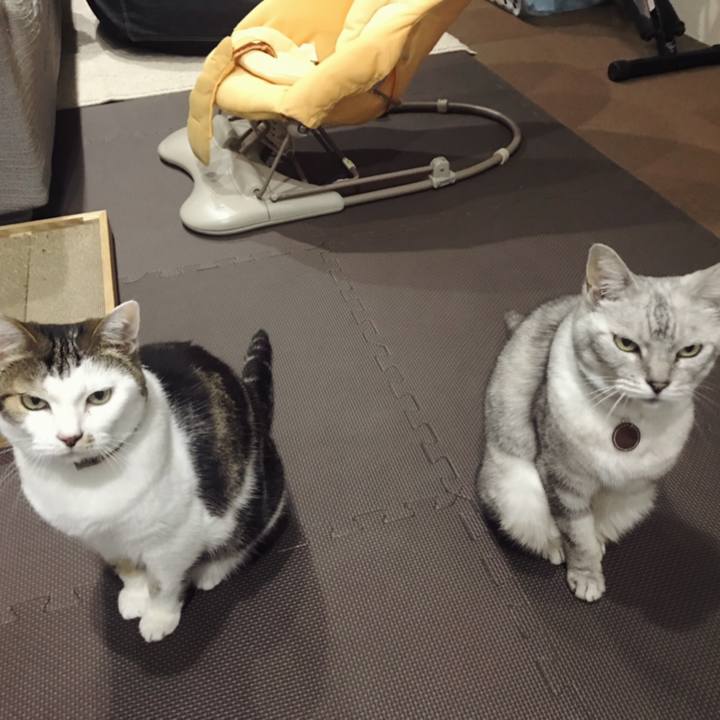 F6ed2a80 56a1 40c1 8727 3dd33f80f702 1620353618765