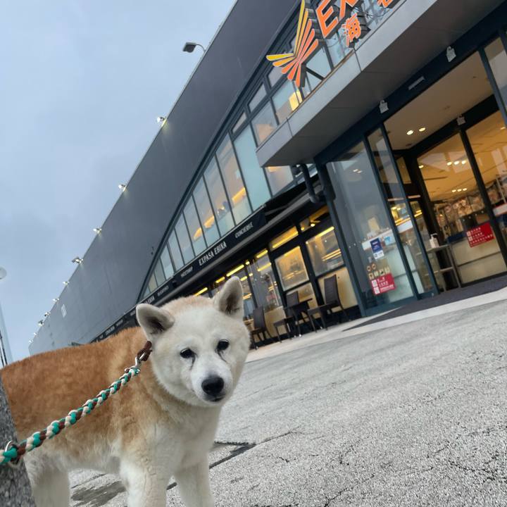 F6ed2abc 0a5d 48e8 abe0 44bbe2082da7 1695421878052