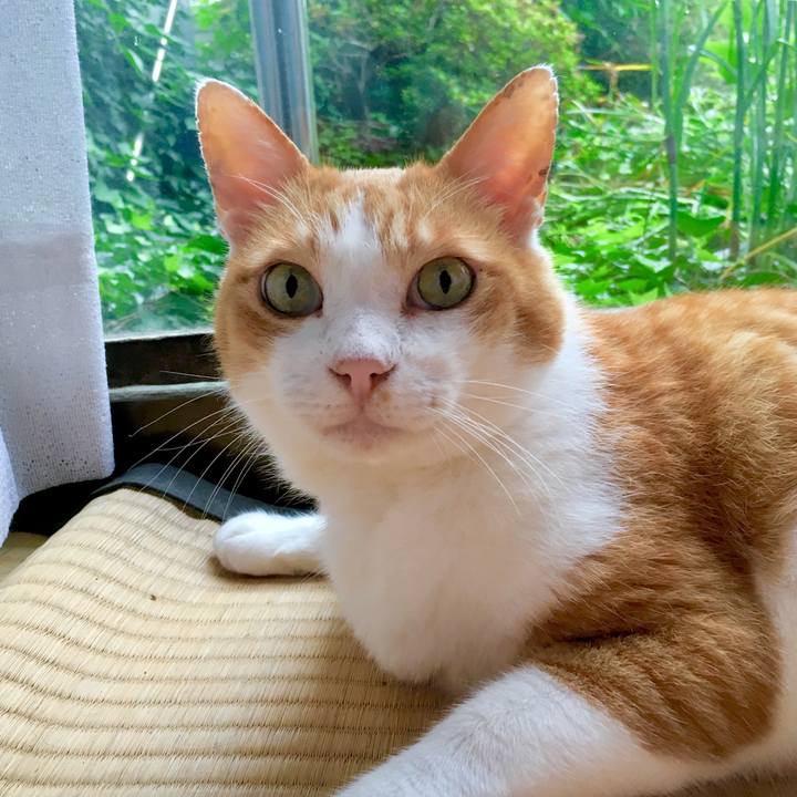 F6ed4ae1 f736 4dad b934 666cce6949c1 1563611135139