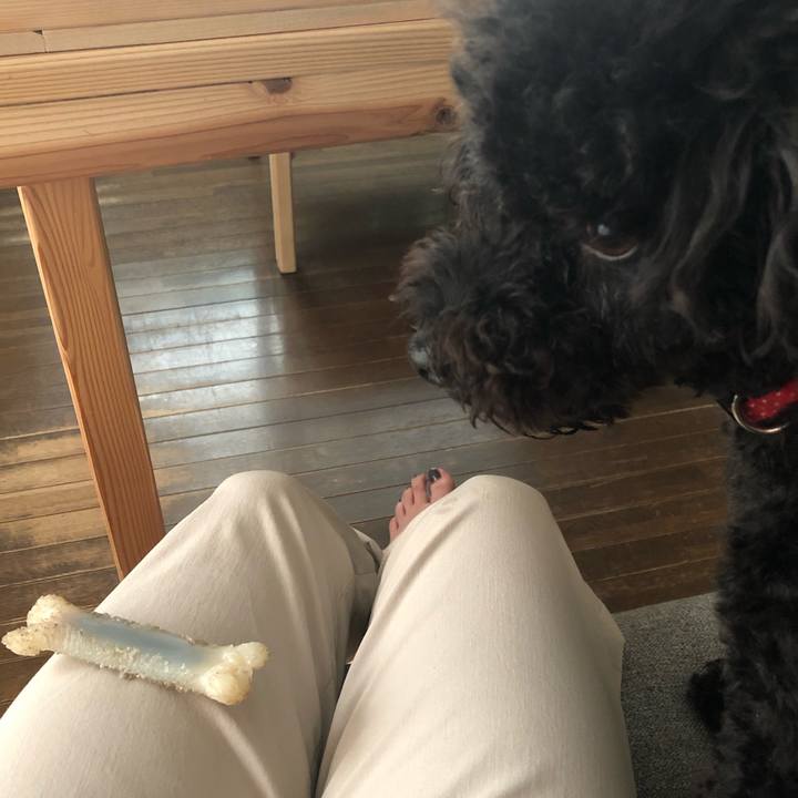 F6ed5022 b59d 4127 a308 fffe0fcfddaa 1597027932821