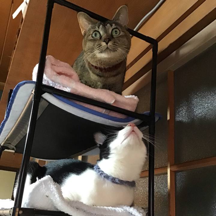 F6ed7f26 c6c7 4622 9eba 3928d480e166 1639293495530