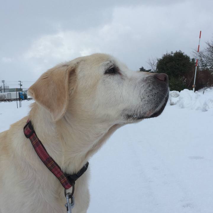 F6ed8520 98d6 4da2 9f86 37fd46a8ce99 1514983796752