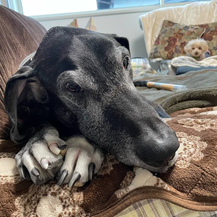 F6eda113 5353 4fa6 9cdb f21ccd680997 1642977058637